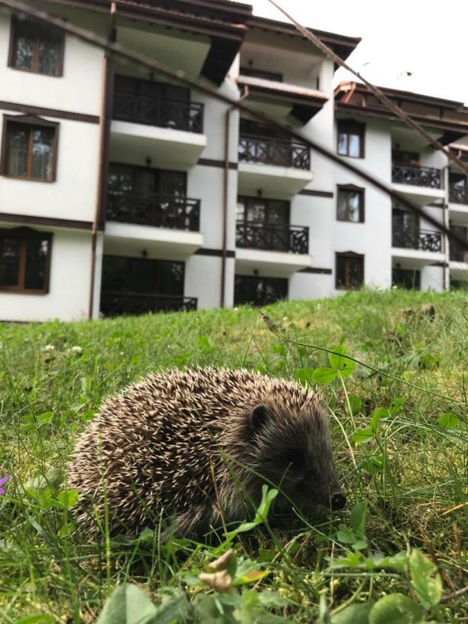 Family Apartment "Cosy Nature" Smolyan Buitenkant foto