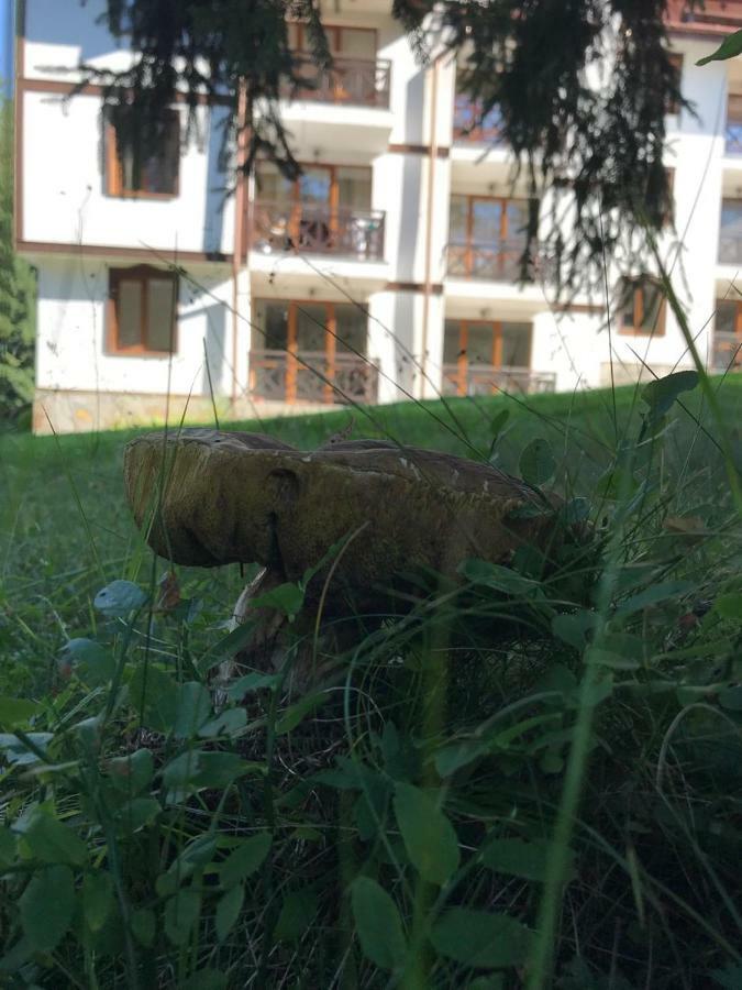 Family Apartment "Cosy Nature" Smolyan Buitenkant foto